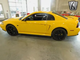 Mustang 10
