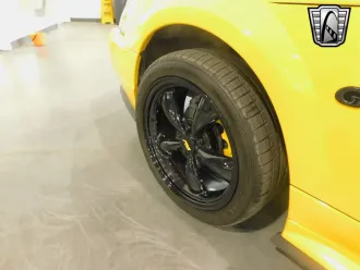 Mustang 11