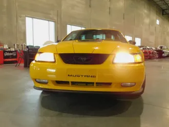 Mustang 25