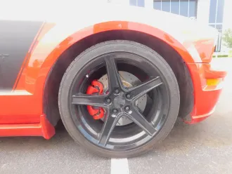 Mustang 16