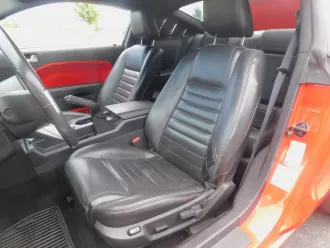 Mustang 18