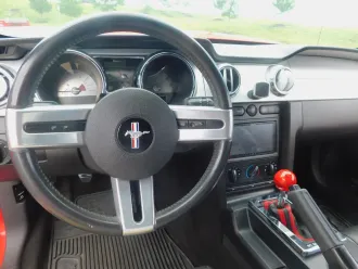 Mustang 19