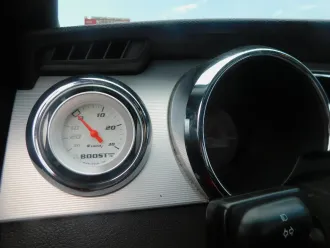 Mustang 20