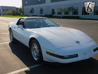 Corvette 7