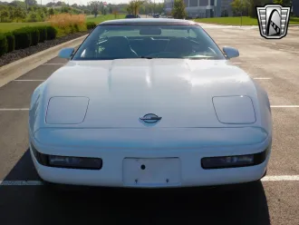 Corvette 8