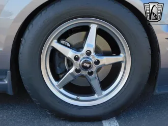 Mustang 16