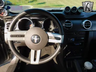 Mustang 19