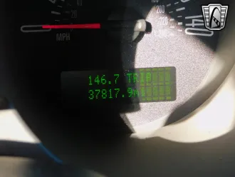 Mustang 21