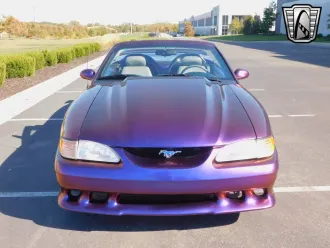 Mustang 8