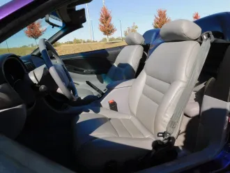 Mustang 16