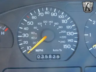 Mustang 19