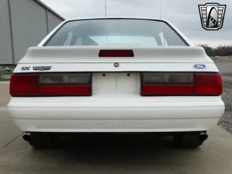 Mustang 6