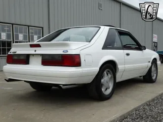 Mustang 7