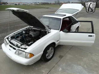 Mustang 11
