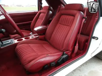 Mustang 24