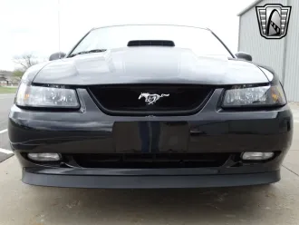 Mustang 2