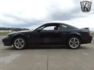 Mustang 4