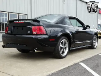 Mustang 7