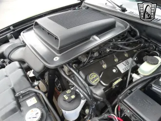 Mustang 23
