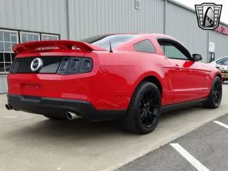 Mustang 7