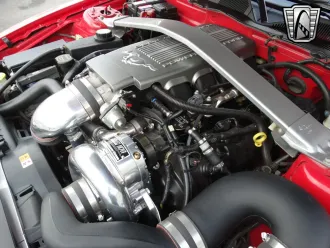 Mustang 23