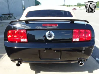 Mustang 6