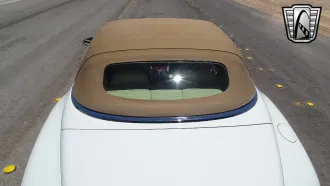 Continental 13