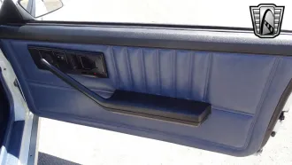 Camaro 11