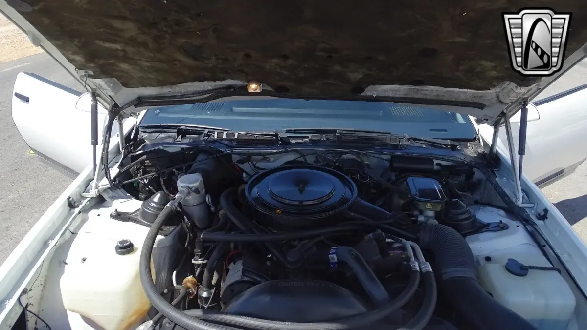Carousel Image 13