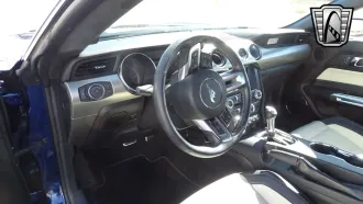 Mustang 6