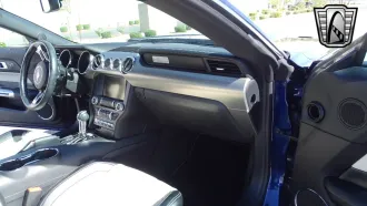 Mustang 7