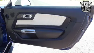 Mustang 13