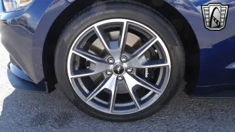 Mustang 14