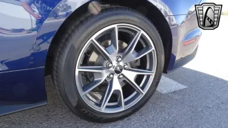 Mustang 15