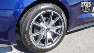 Mustang 16