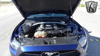Mustang 18