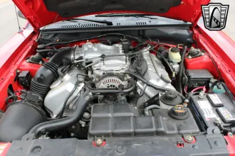 Mustang 16