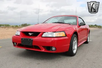 Mustang 26