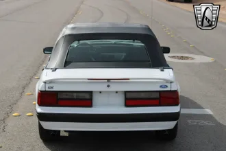 Mustang 8