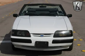 Mustang 14