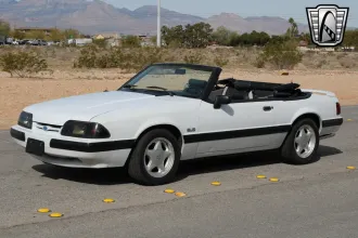 Mustang 15