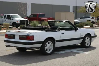 Mustang 17