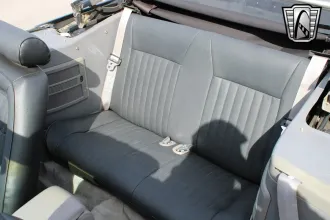 Mustang 21