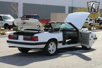Mustang 25
