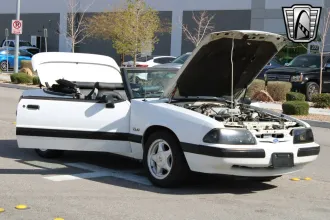 Mustang 26