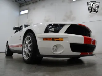 Mustang 6