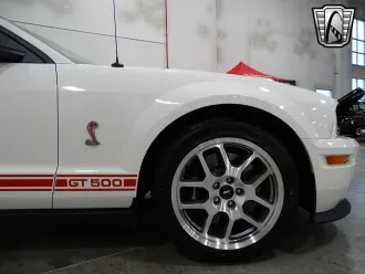 Mustang 7