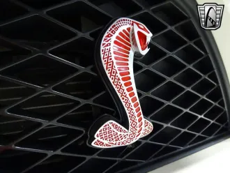 Mustang 12