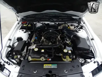 Mustang 17