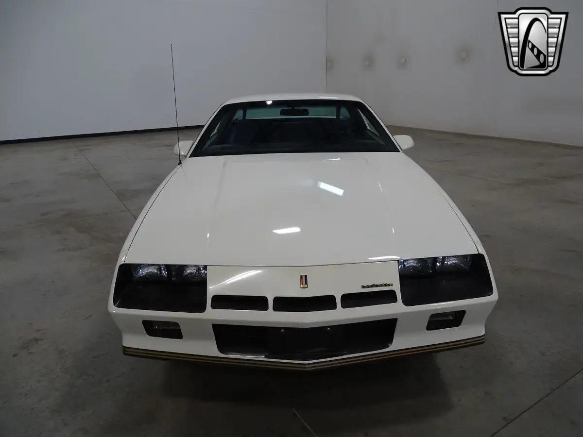 Carousel Image 4